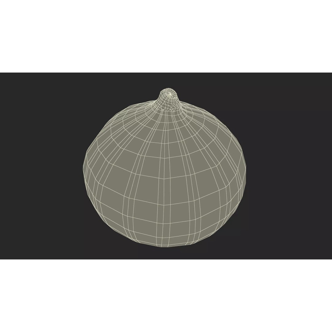 Ripe Fig Fruit 3D Model – High-Quality PBR Asset for Rendering - View 21