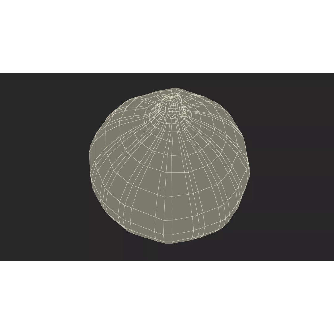 Ripe Fig Fruit 3D Model – High-Quality PBR Asset for Rendering - View 22