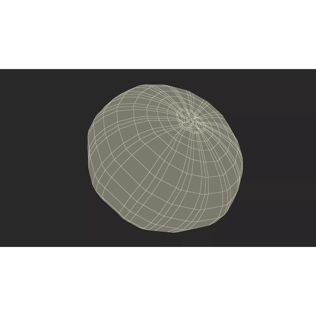 Ripe Fig Fruit 3D Model – High-Quality PBR Asset for Rendering - View 24