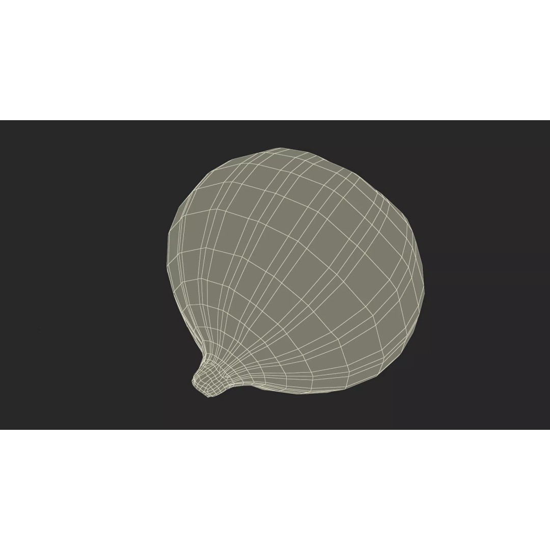 Ripe Fig Fruit 3D Model – High-Quality PBR Asset for Rendering - View 25