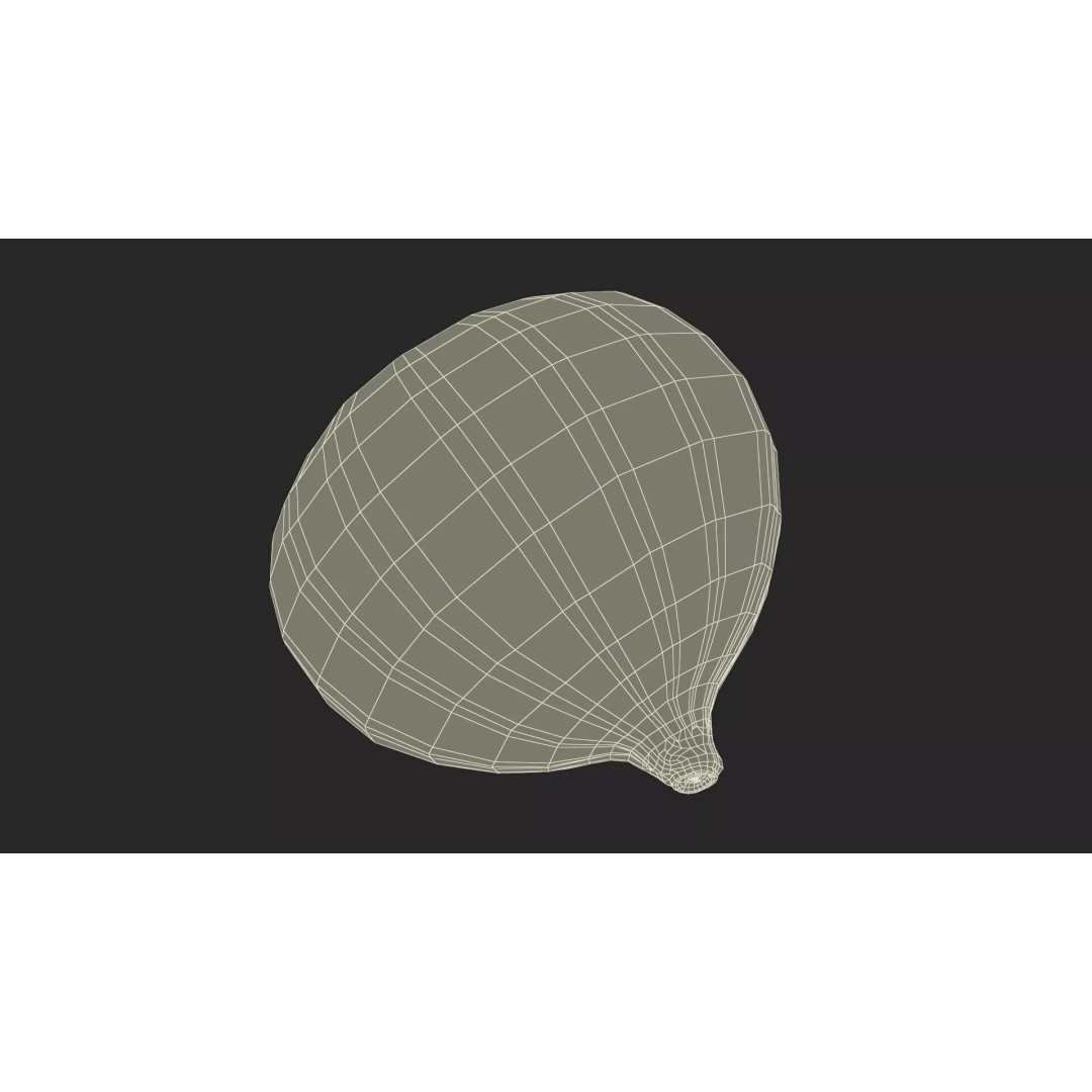 Ripe Fig Fruit 3D Model – High-Quality PBR Asset for Rendering - View 26