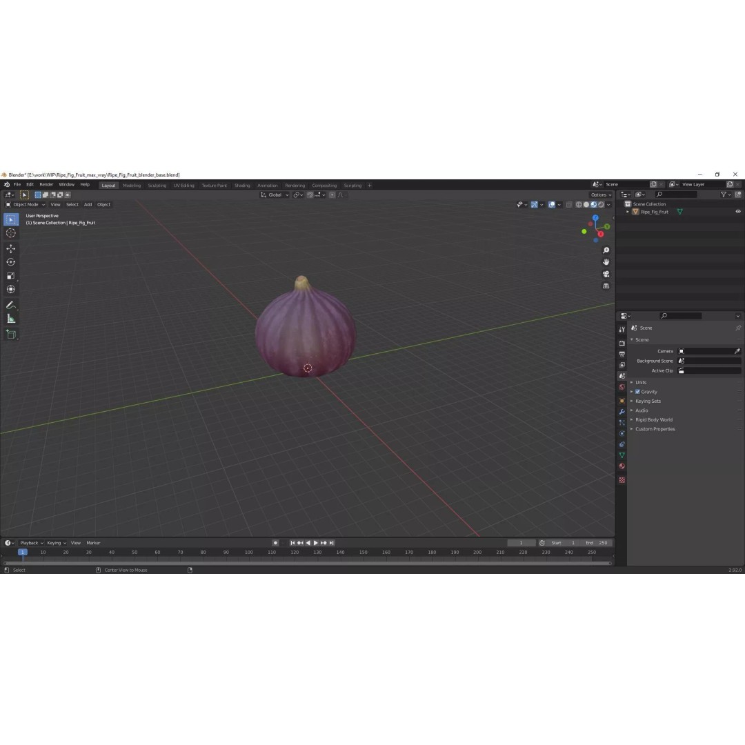 Ripe Fig Fruit 3D Model – High-Quality PBR Asset for Rendering - View 27