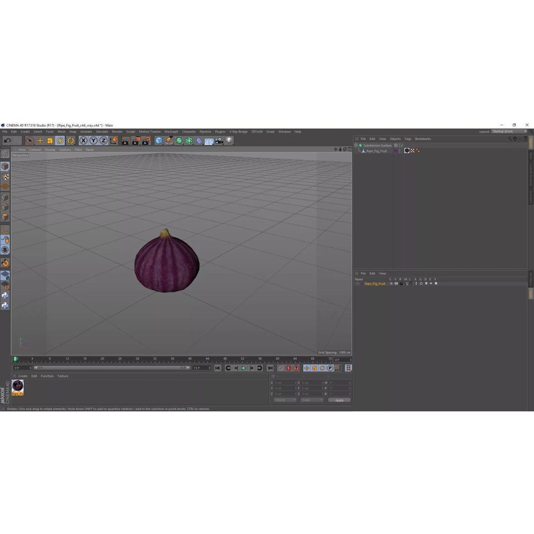 Ripe Fig Fruit 3D Model – High-Quality PBR Asset for Rendering - View 29