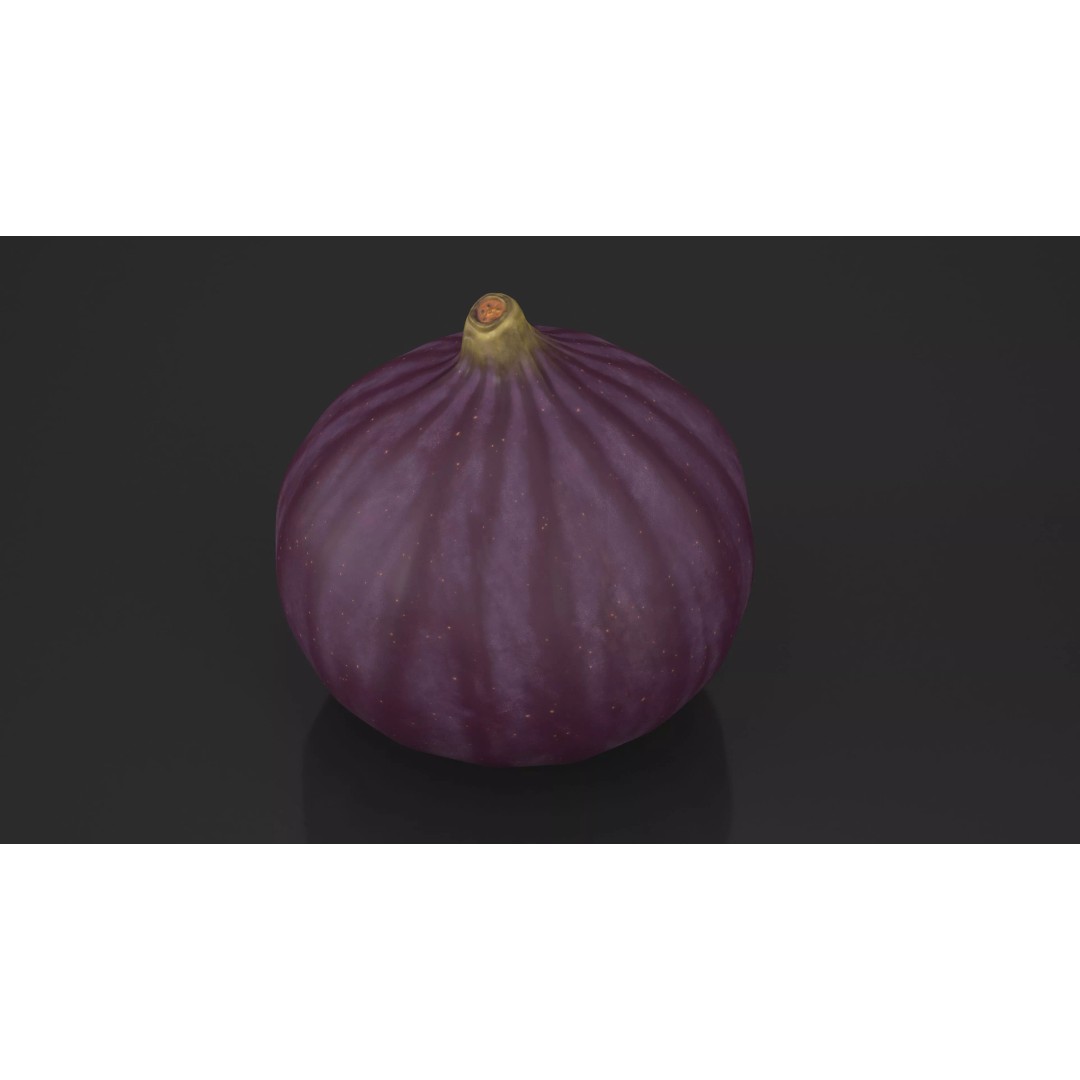 Ripe Fig Fruit 3D Model – High-Quality PBR Asset for Rendering - View 5