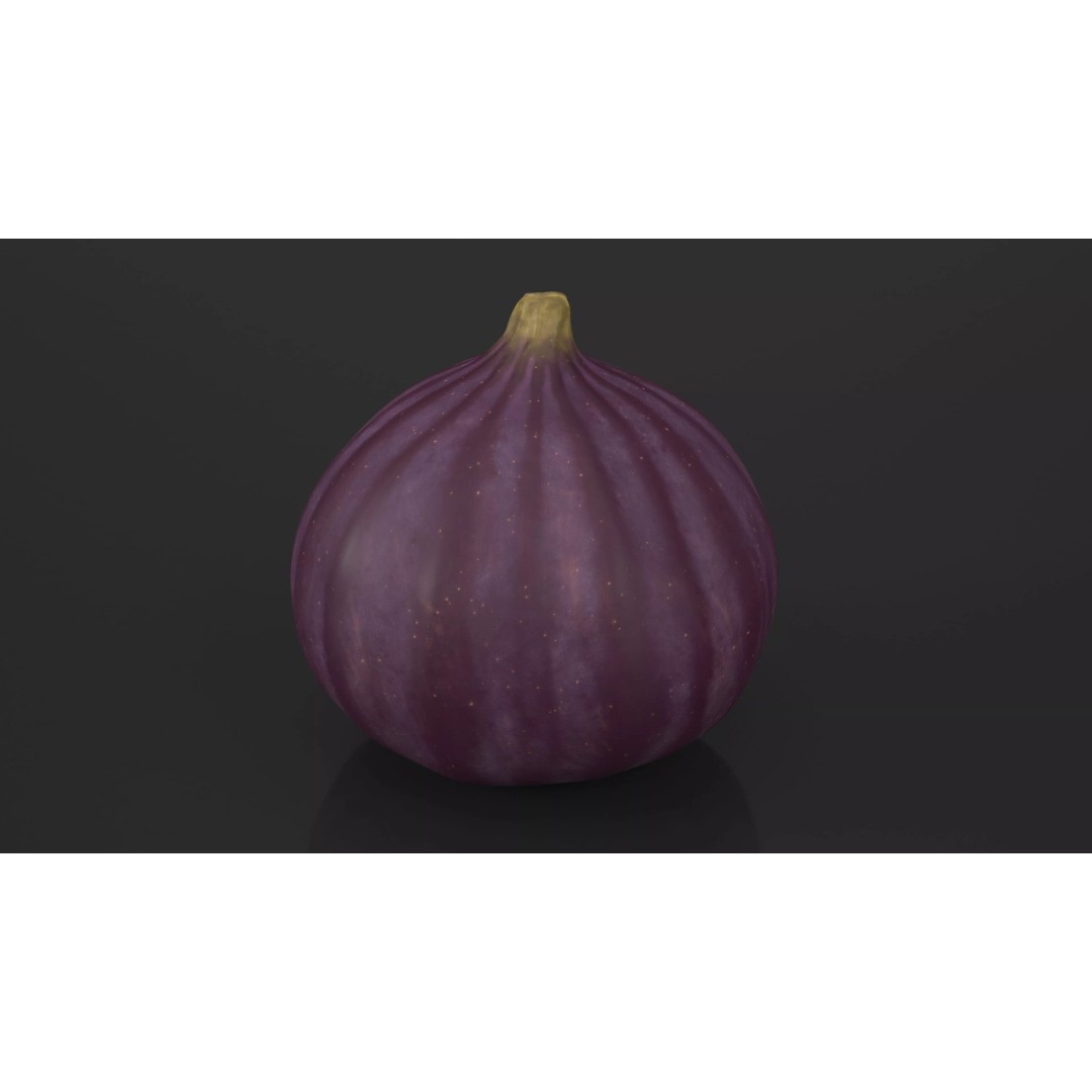 Ripe Fig Fruit 3D Model – High-Quality PBR Asset for Rendering - View 6