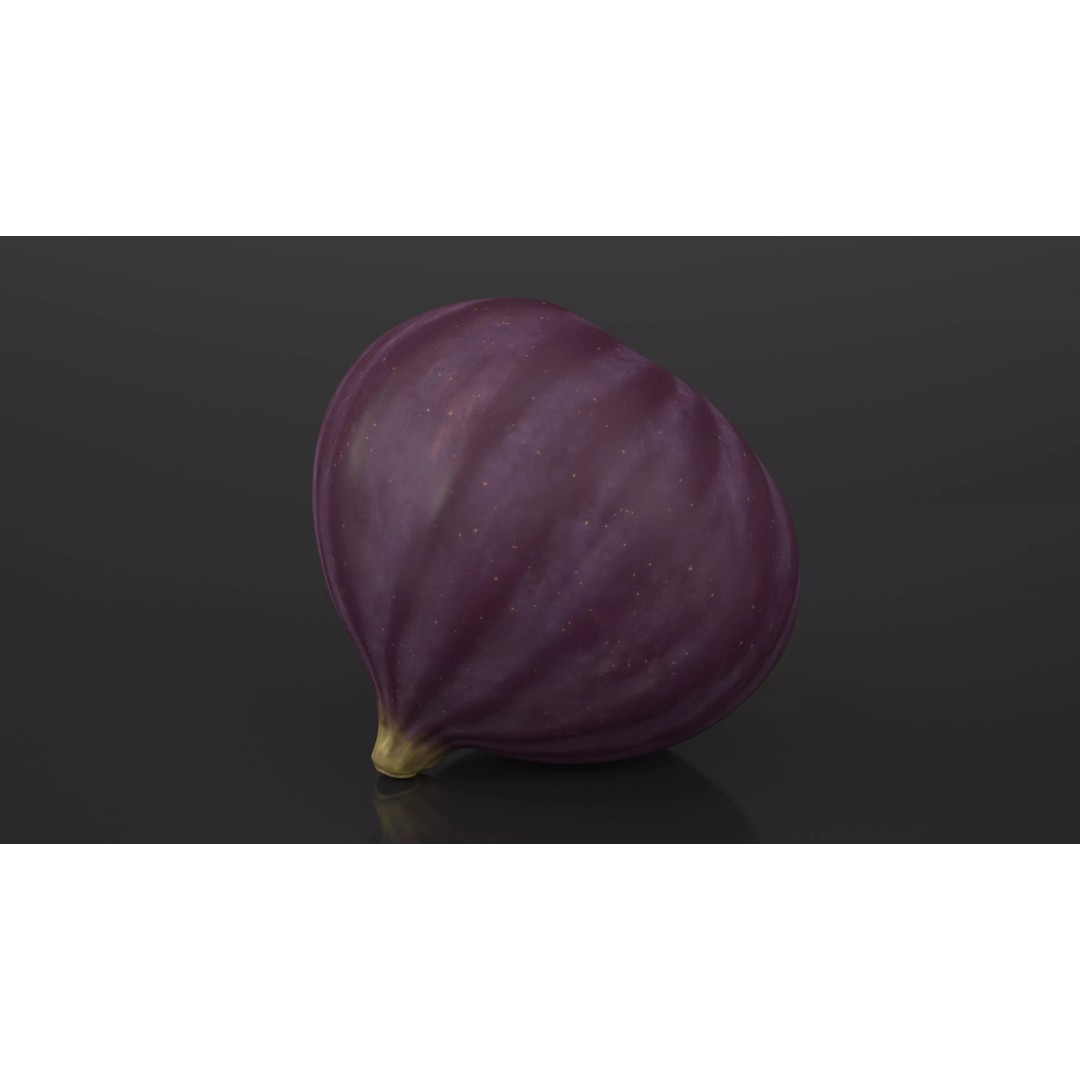 Ripe Fig Fruit 3D Model – High-Quality PBR Asset for Rendering - View 8
