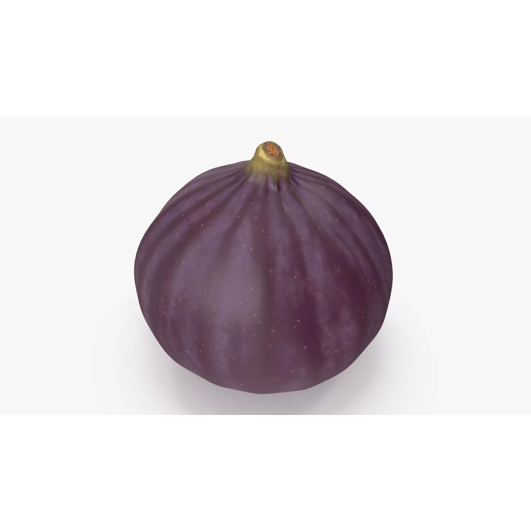 Ripe Fig Fruit 3D Model – High-Quality PBR Asset for Rendering - View 9
