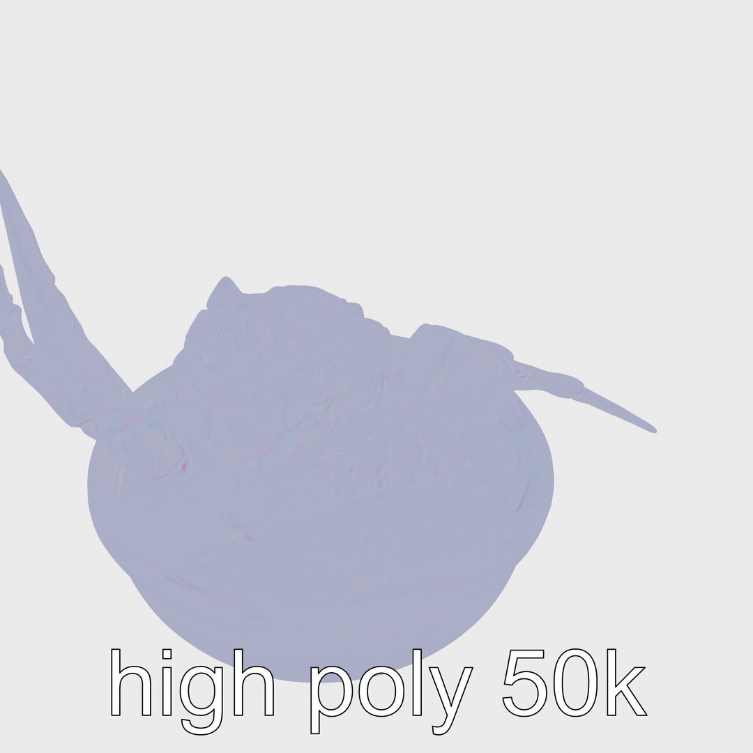 Singaporean Chili Crab 3D Model – Low Poly Game Asset, FBX - View 16