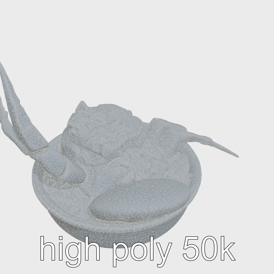 Singaporean Chili Crab 3D Model – Low Poly Game Asset, FBX - View 29