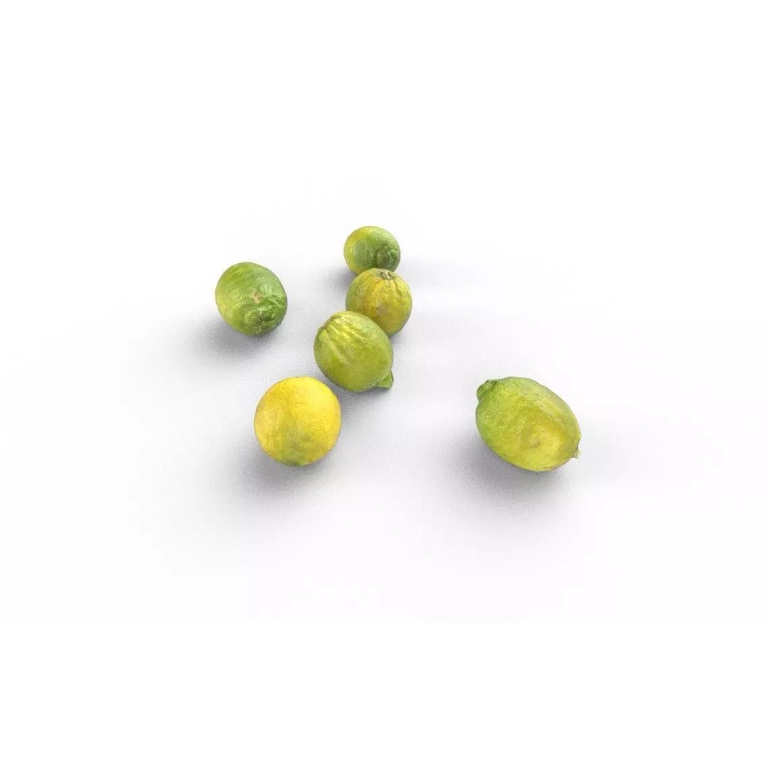 Lemon 3D Model – Low Poly Game Asset, FBX, PBR Textures - View 6