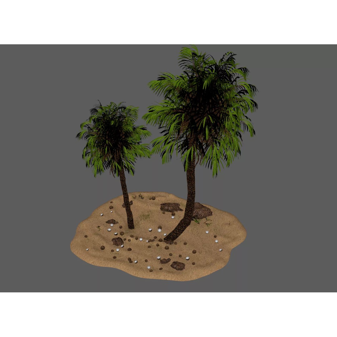 Coconut Palm 3D Model – Photorealistic Tropical Asset, FBX, Blender - View 10