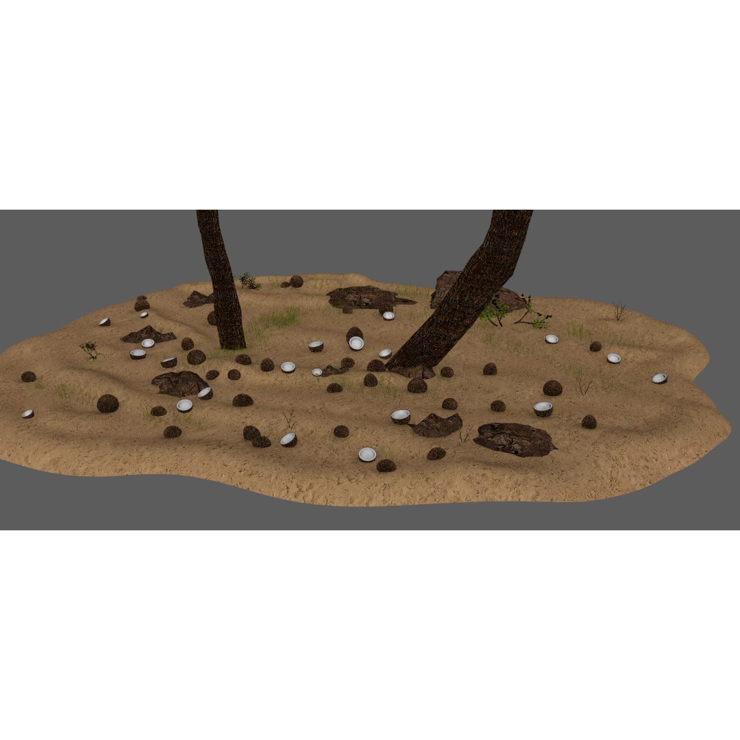 Coconut Palm 3D Model – Photorealistic Tropical Asset, FBX, Blender - View 12