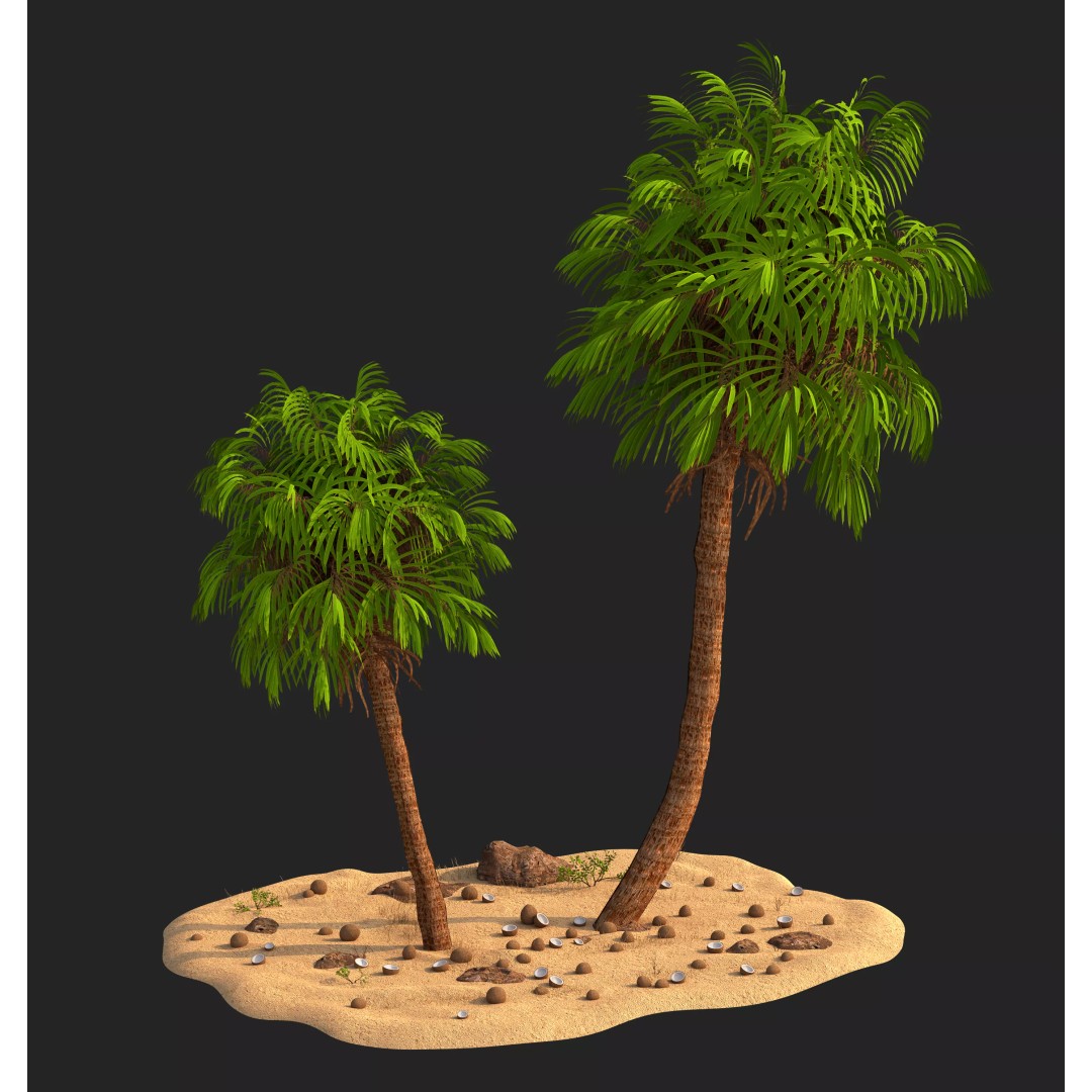 Coconut Palm 3D Model – Photorealistic Tropical Asset, FBX, Blender - View 3