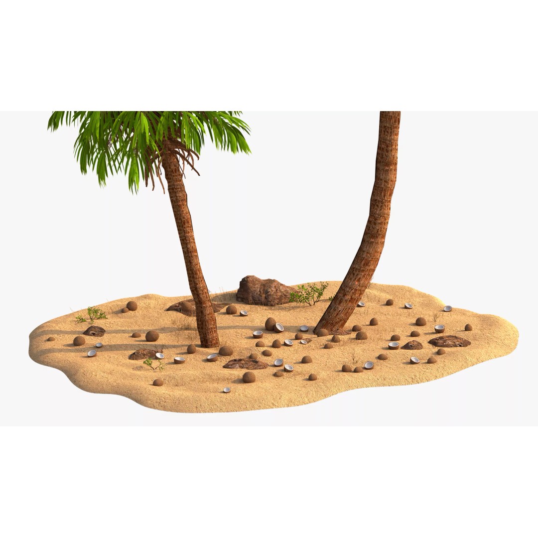 Coconut Palm 3D Model – Photorealistic Tropical Asset, FBX, Blender - View 4