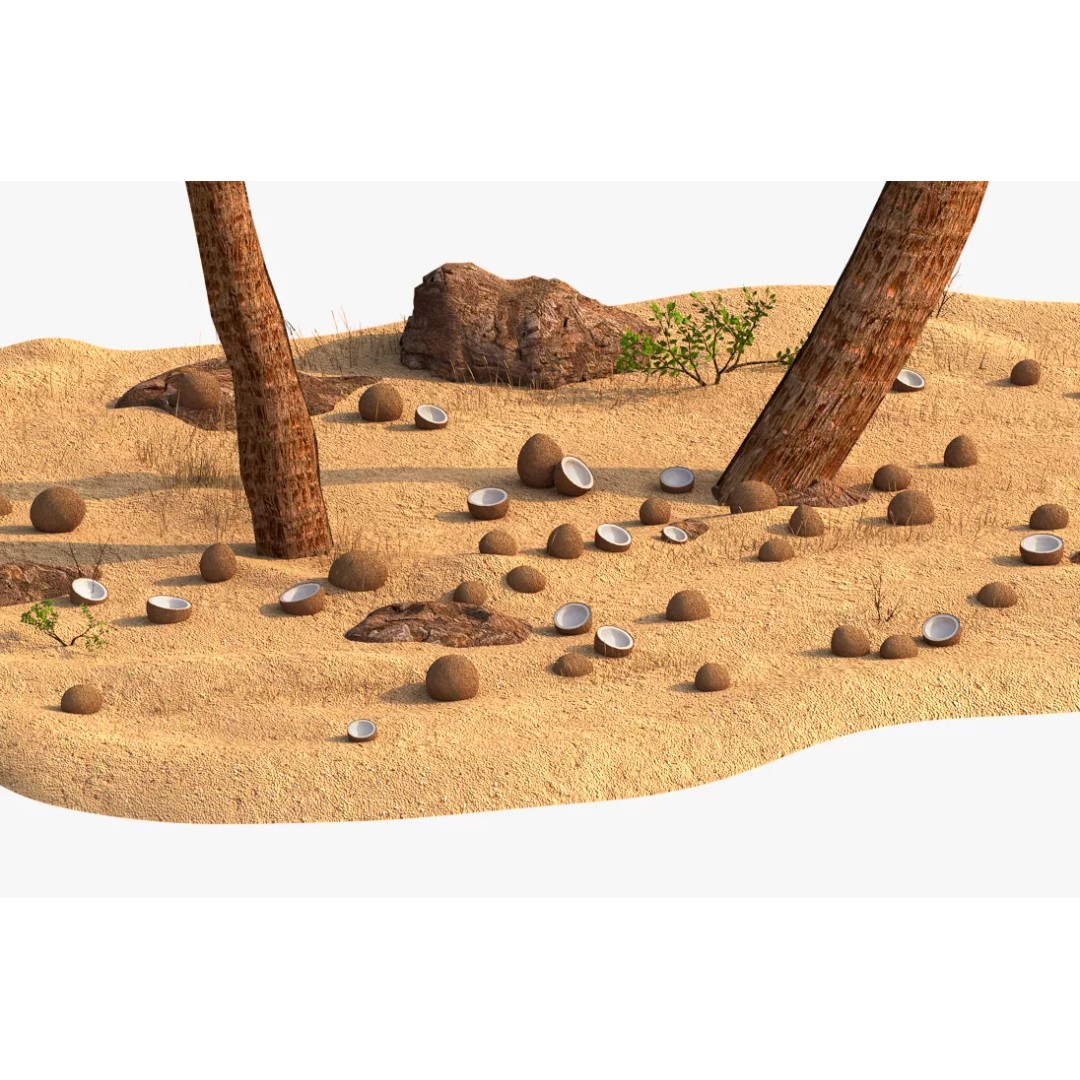 Coconut Palm 3D Model – Photorealistic Tropical Asset, FBX, Blender - View 6