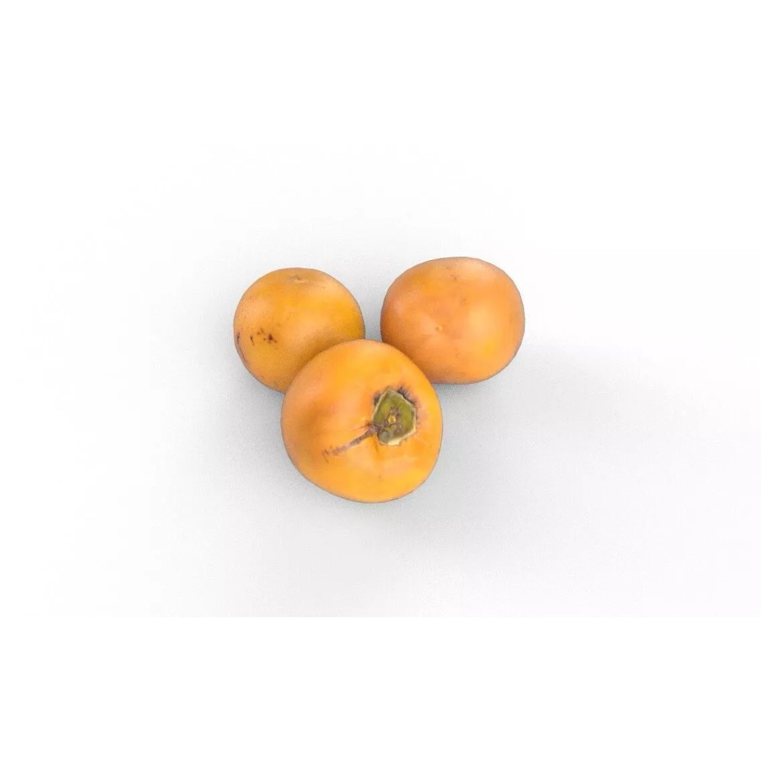 Persimmon 3D Model – Low Poly Game Asset, PBR Textures, FBX - View 2