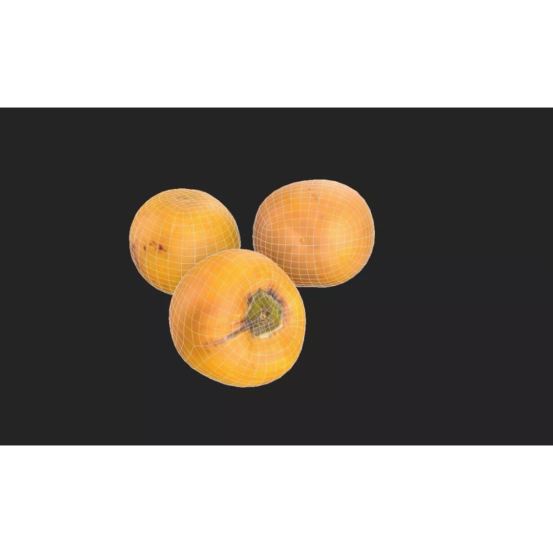 Persimmon 3D Model – Low Poly Game Asset, PBR Textures, FBX - View 3