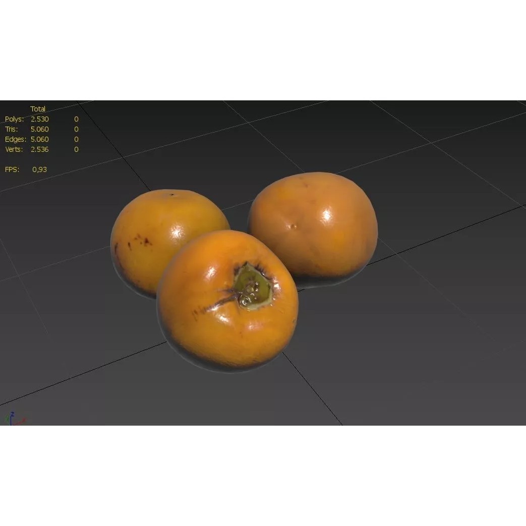 Persimmon 3D Model – Low Poly Game Asset, PBR Textures, FBX - View 4