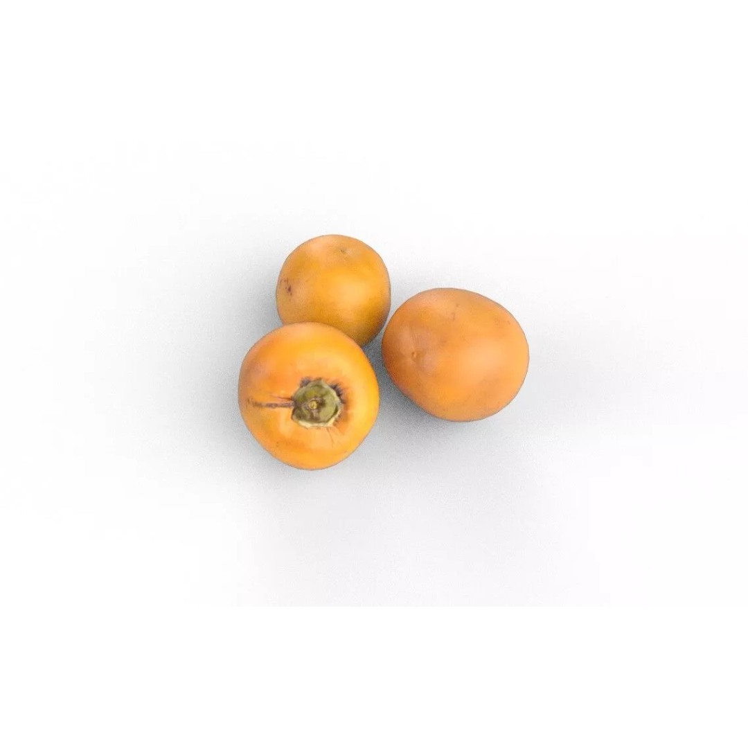 Persimmon 3D Model – Low Poly Game Asset, PBR Textures, FBX - View 5