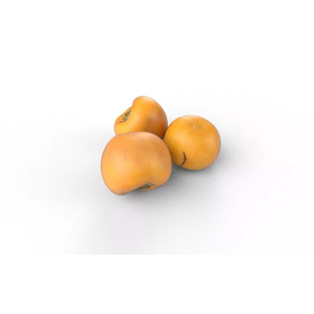 Persimmon 3D Model – Low Poly Game Asset, PBR Textures, FBX - View 6