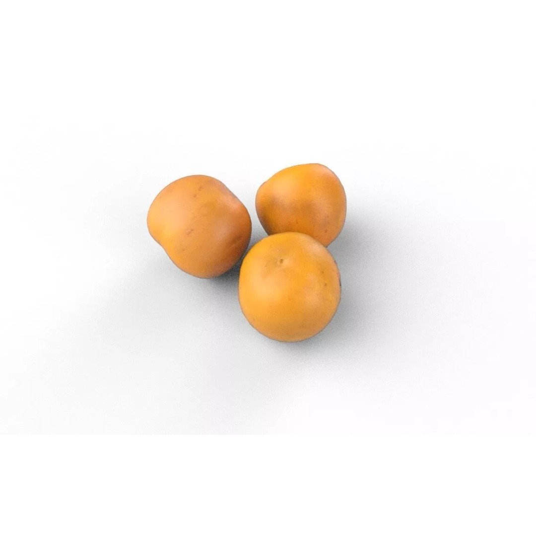 Persimmon 3D Model – Low Poly Game Asset, PBR Textures, FBX - View 7