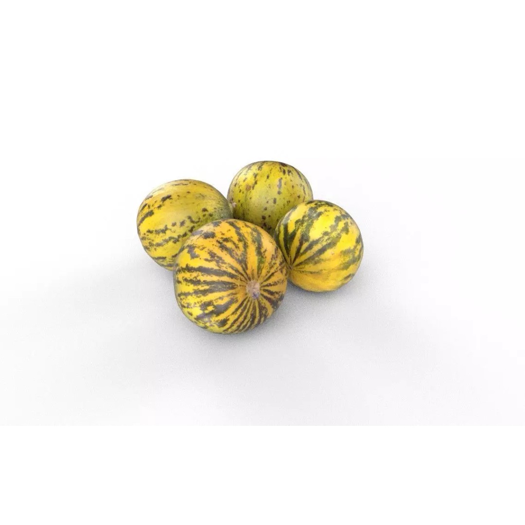 Melon 3D Model – Low Poly Game Asset, FBX, PBR Textures - View 2