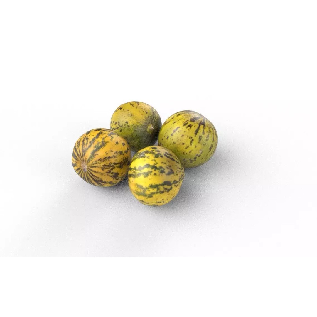 Melon 3D Model – Low Poly Game Asset, FBX, PBR Textures - View 5