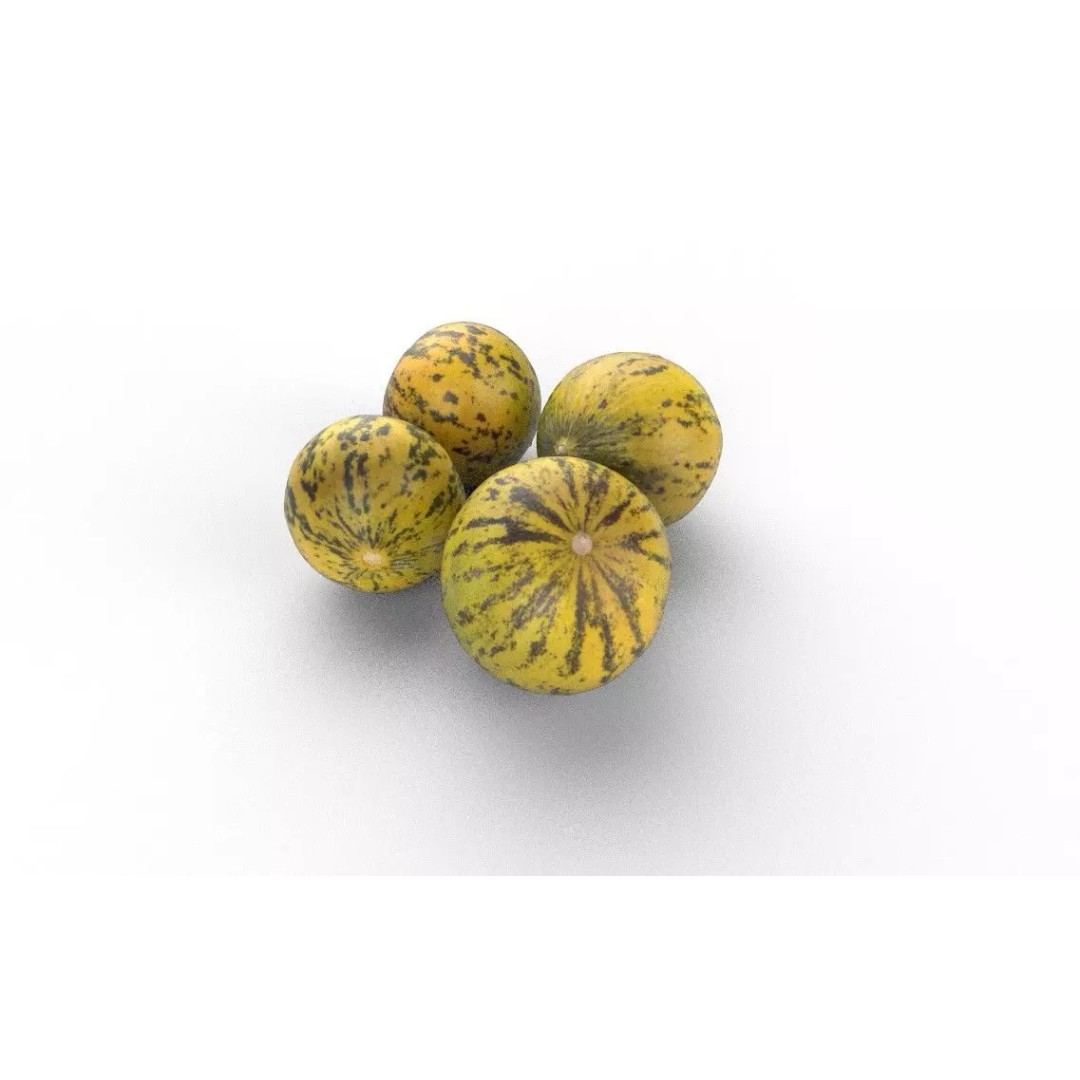 Melon 3D Model – Low Poly Game Asset, FBX, PBR Textures - View 6