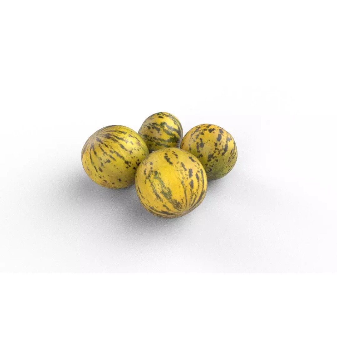 Melon 3D Model – Low Poly Game Asset, FBX, PBR Textures - View 7