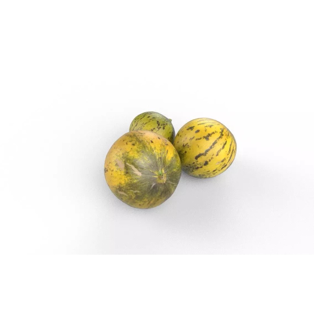 Melon 3D Model – Low Poly Game Asset with PBR Textures - View 2