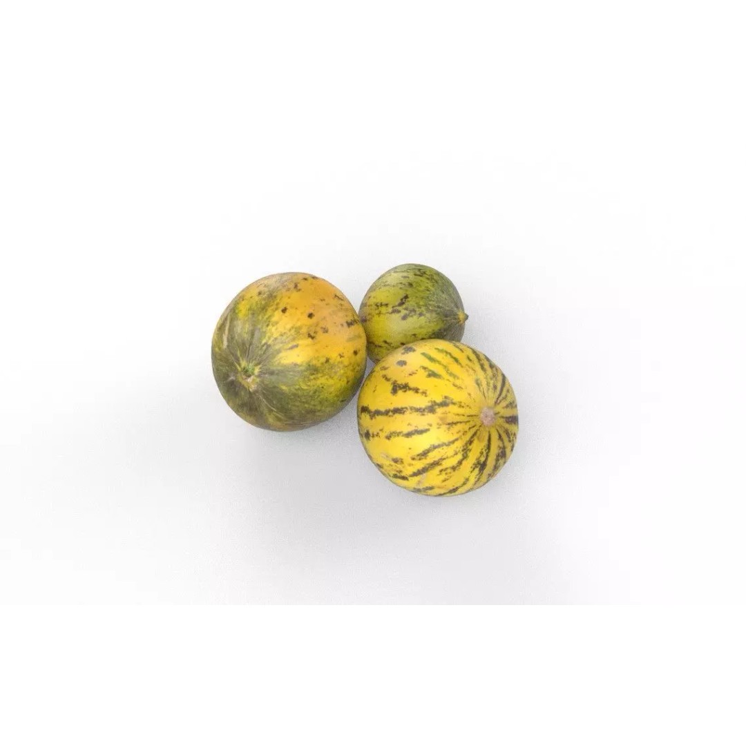 Melon 3D Model – Low Poly Game Asset with PBR Textures - View 5