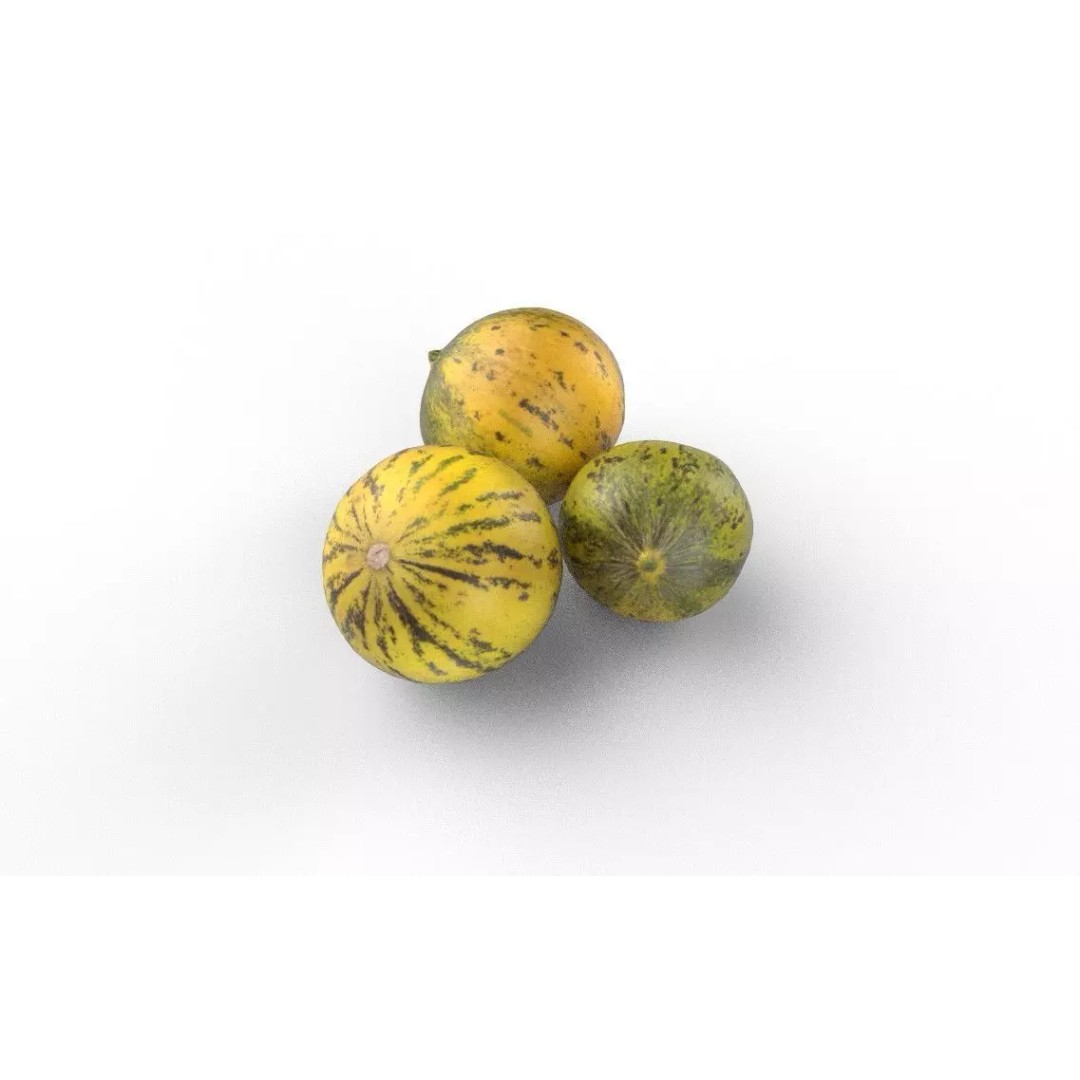 Melon 3D Model – Low Poly Game Asset with PBR Textures - View 6