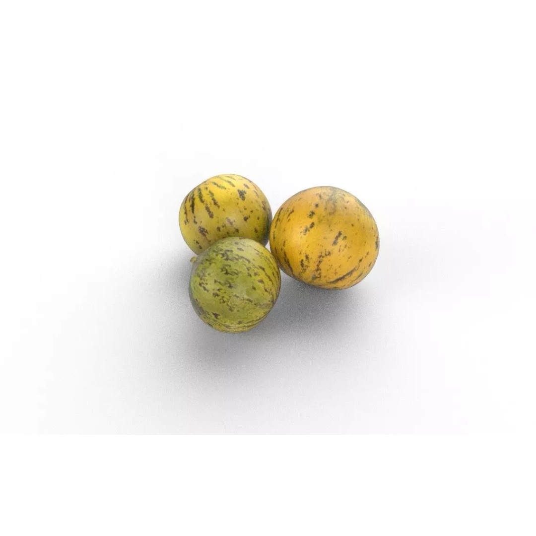 Melon 3D Model – Low Poly Game Asset with PBR Textures - View 7