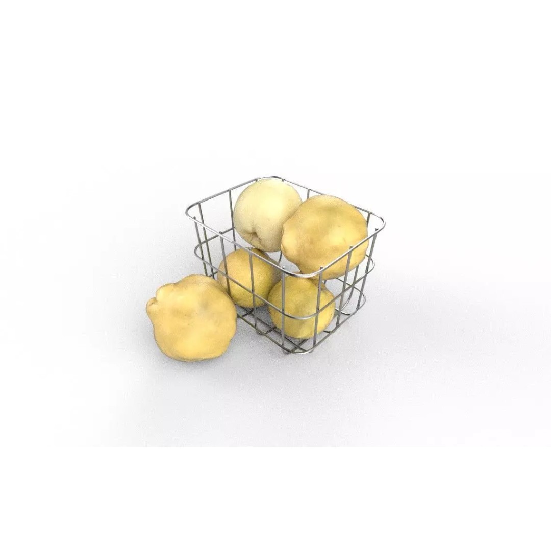 Quince 3D Model – Low Poly Game Asset, FBX, PBR Textures - View 5