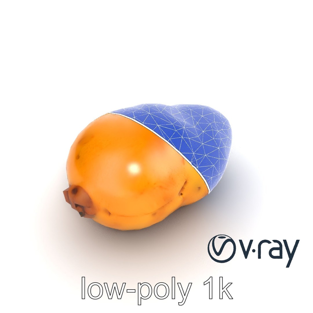 Realistic Potato 3D Model – Low Poly Game Asset, FBX, PBR Textures - View 13