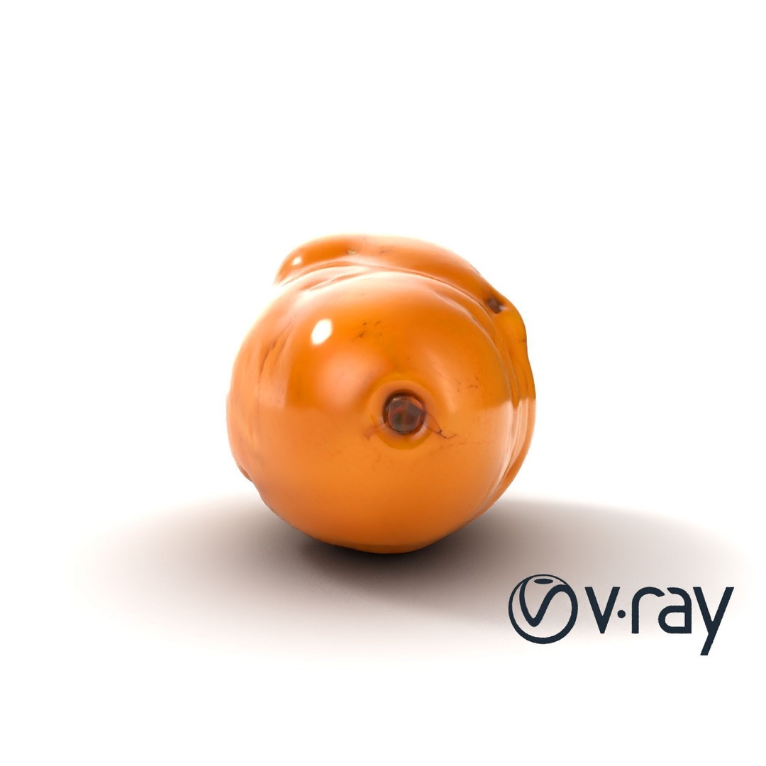 Realistic Potato 3D Model – Low Poly Game Asset, FBX, PBR Textures - View 14