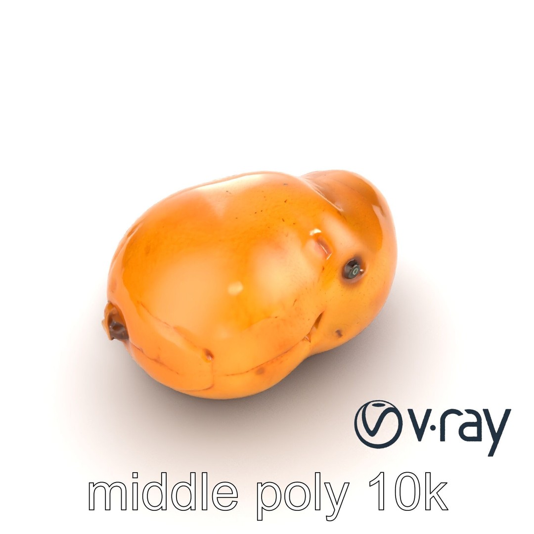Realistic Potato 3D Model – Low Poly Game Asset, FBX, PBR Textures - View 18