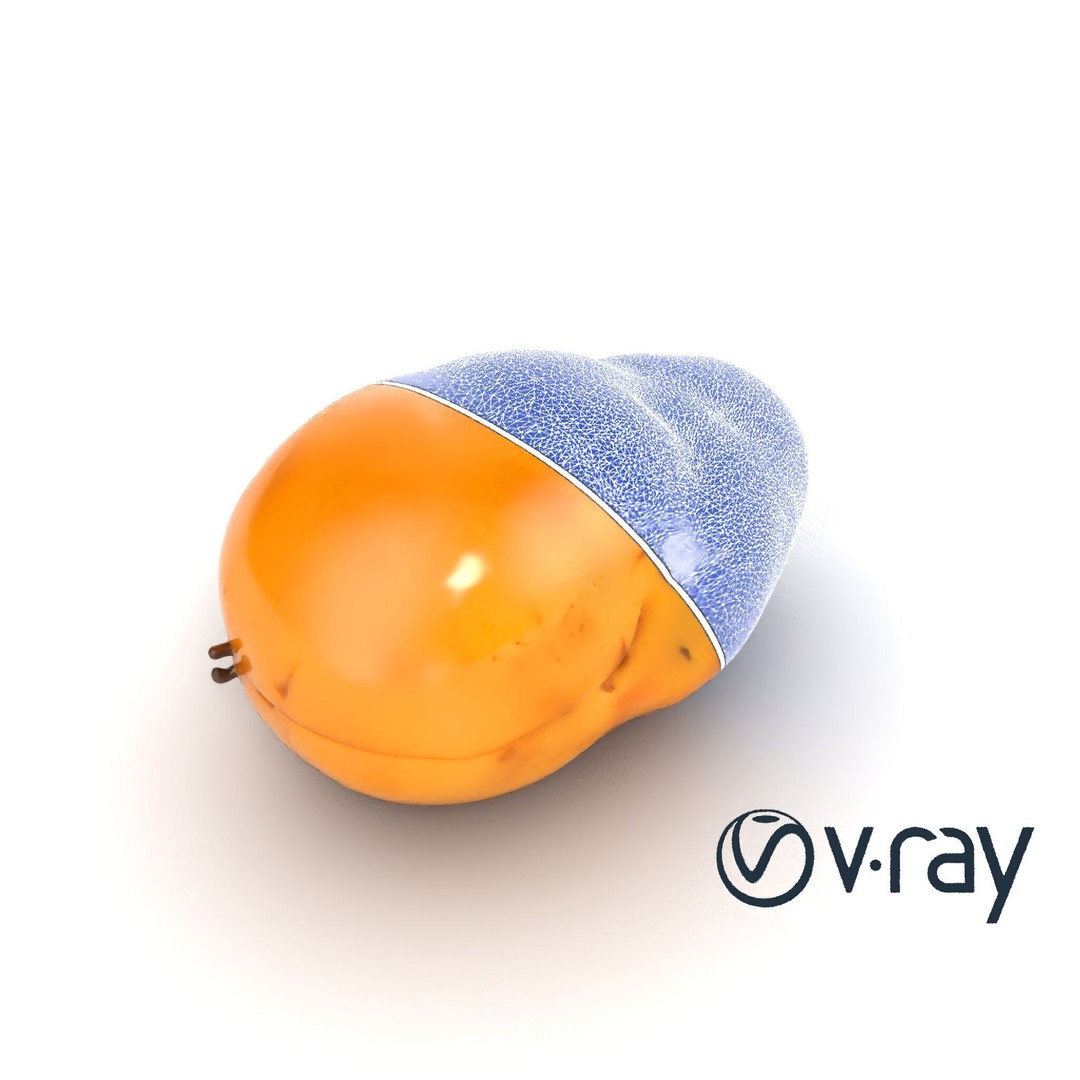 Realistic Potato 3D Model – Low Poly Game Asset, FBX, PBR Textures - View 25