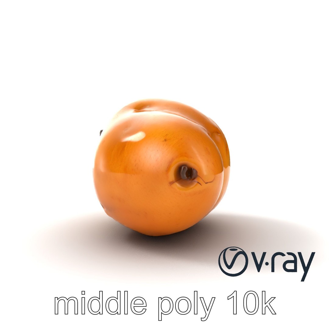 Realistic Potato 3D Model – Low Poly Game Asset, FBX, PBR Textures - View 27