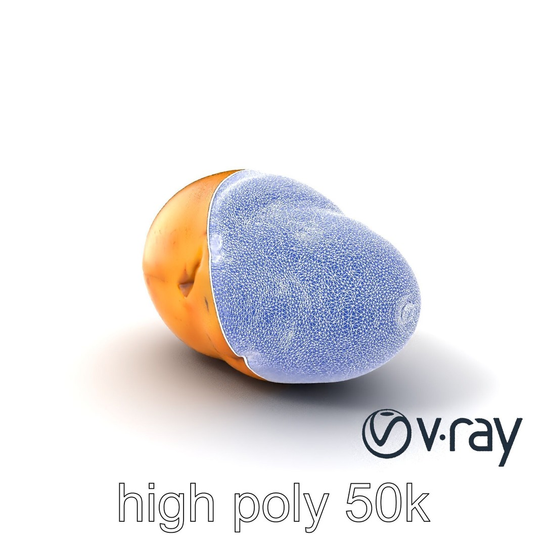 Realistic Potato 3D Model – Low Poly Game Asset, FBX, PBR Textures - View 30