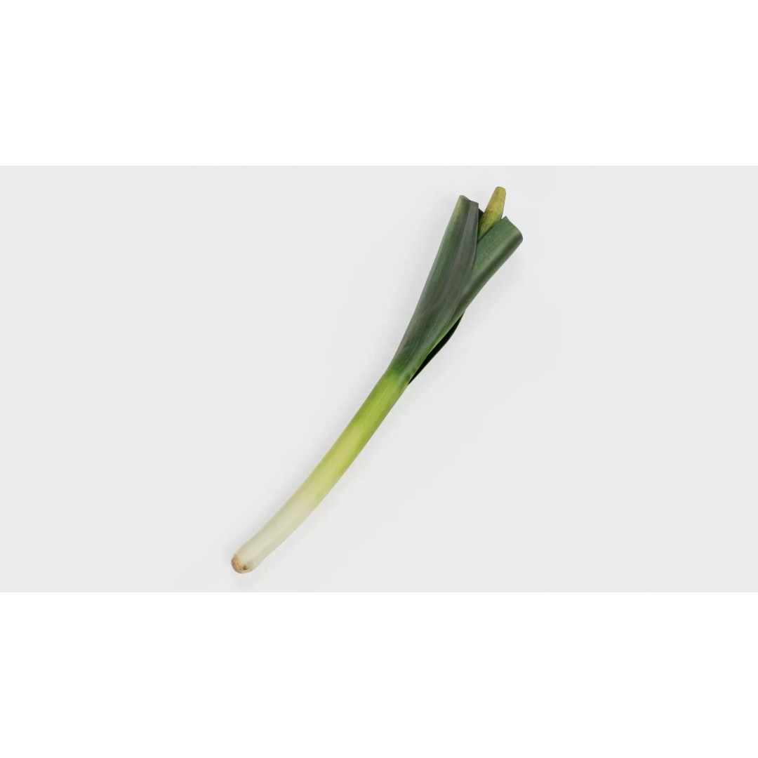Leek 3D Model – Photorealistic Vegetable Asset, Blender & FBX - View 2