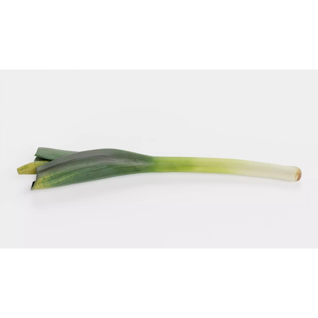 Leek 3D Model – Photorealistic Vegetable Asset, Blender & FBX - View 3
