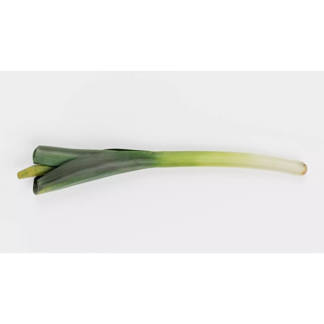 Leek 3D Model – Photorealistic Vegetable Asset, Blender & FBX - View 4