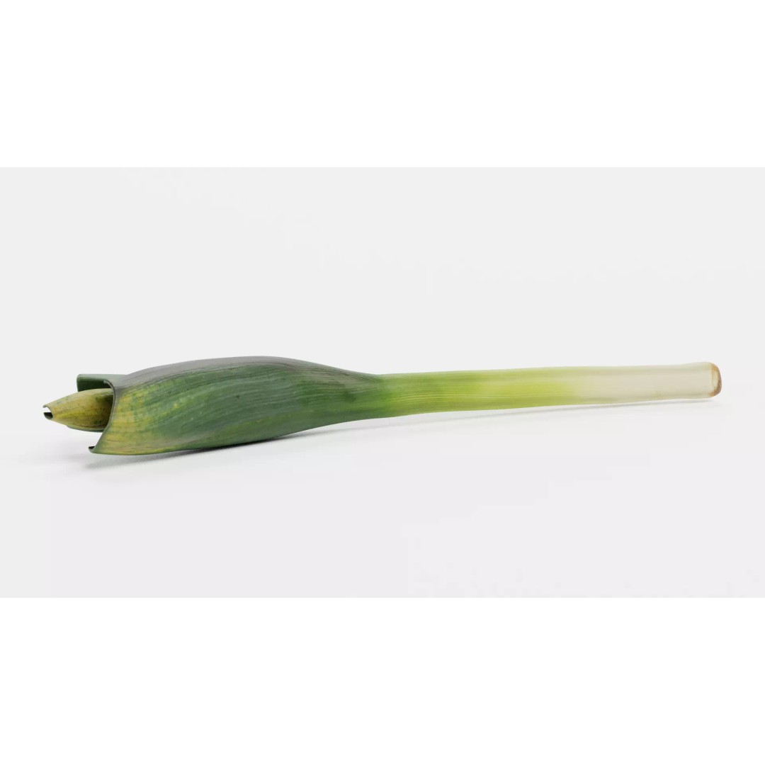 Leek 3D Model – Photorealistic Vegetable Asset, Blender & FBX - View 5