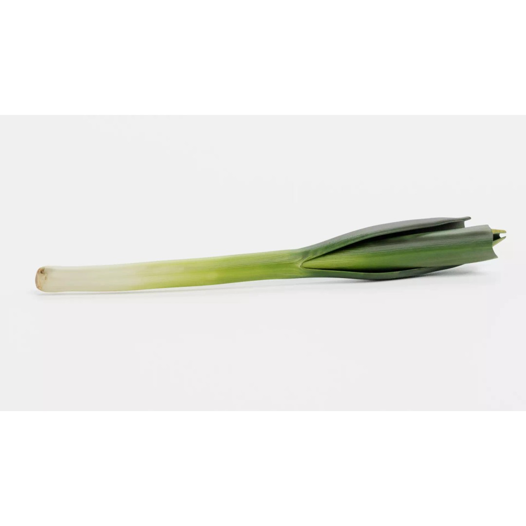 Leek 3D Model – Photorealistic Vegetable Asset, Blender & FBX - View 6