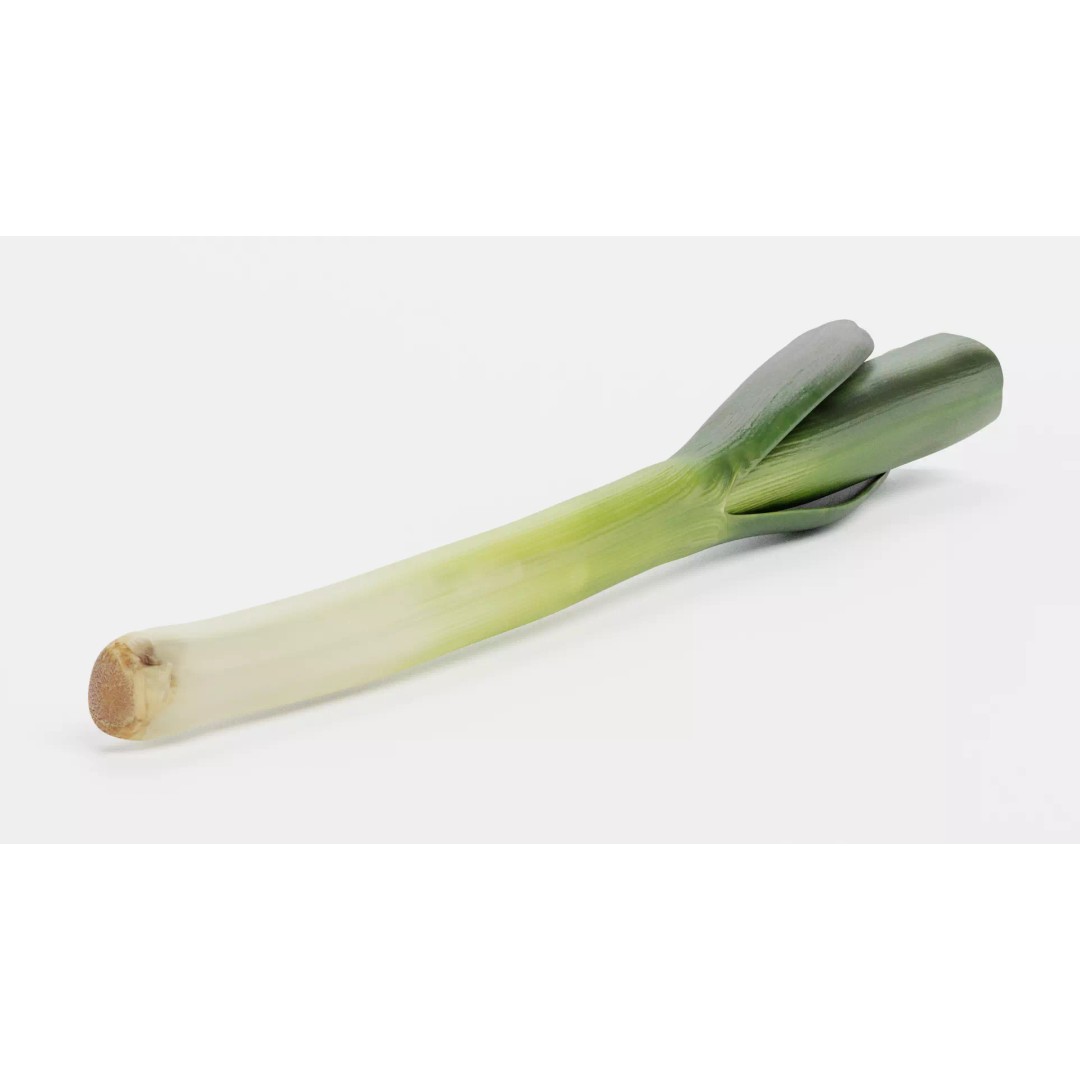 Leek 3D Model – Photorealistic Vegetable Asset, Blender & FBX - View 7