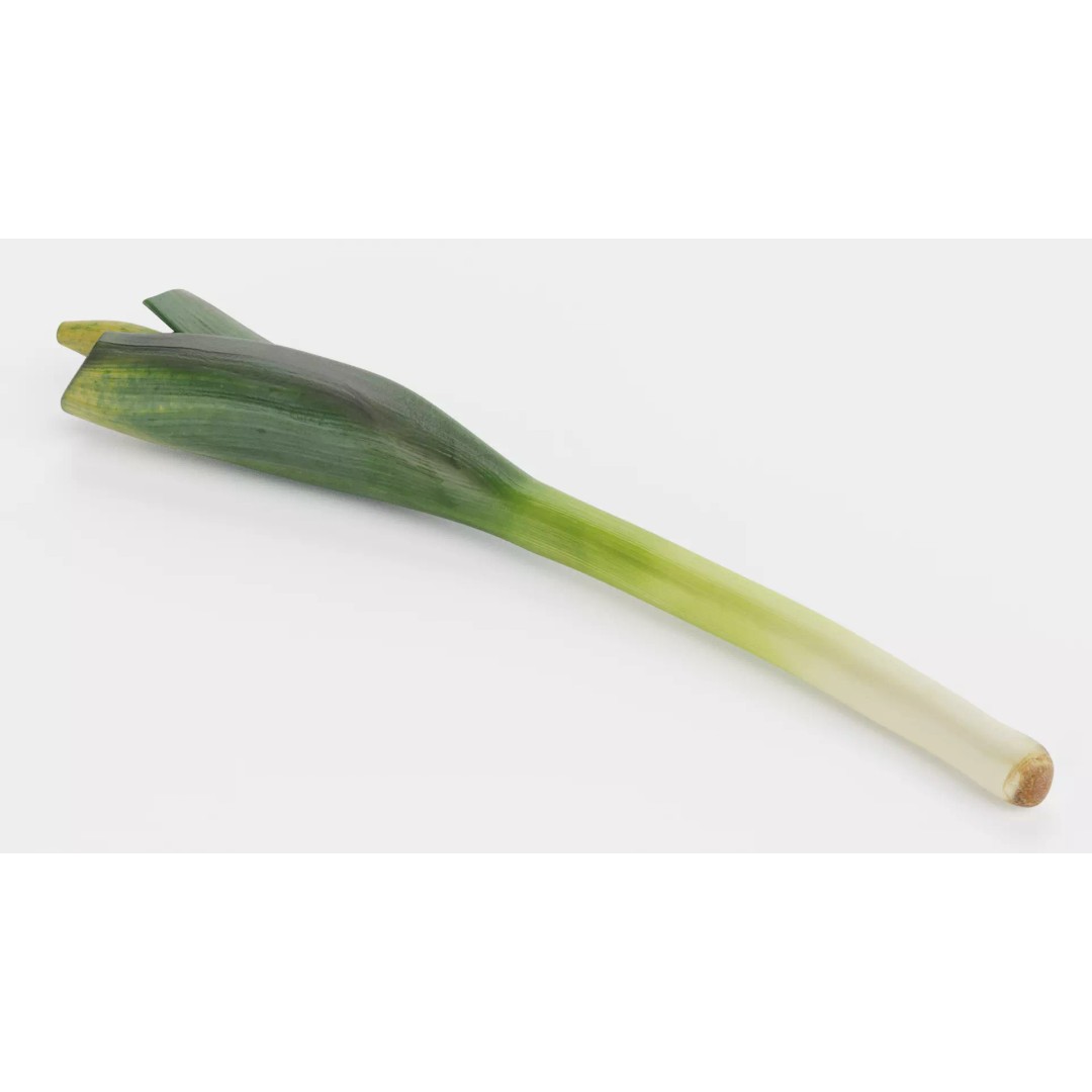Leek 3D Model – Photorealistic Vegetable Asset, Blender & FBX - View 8
