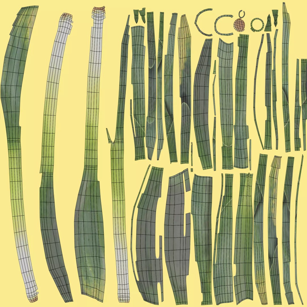 Leek 3D Model – Photorealistic Vegetable Asset, Blender & FBX - View 9