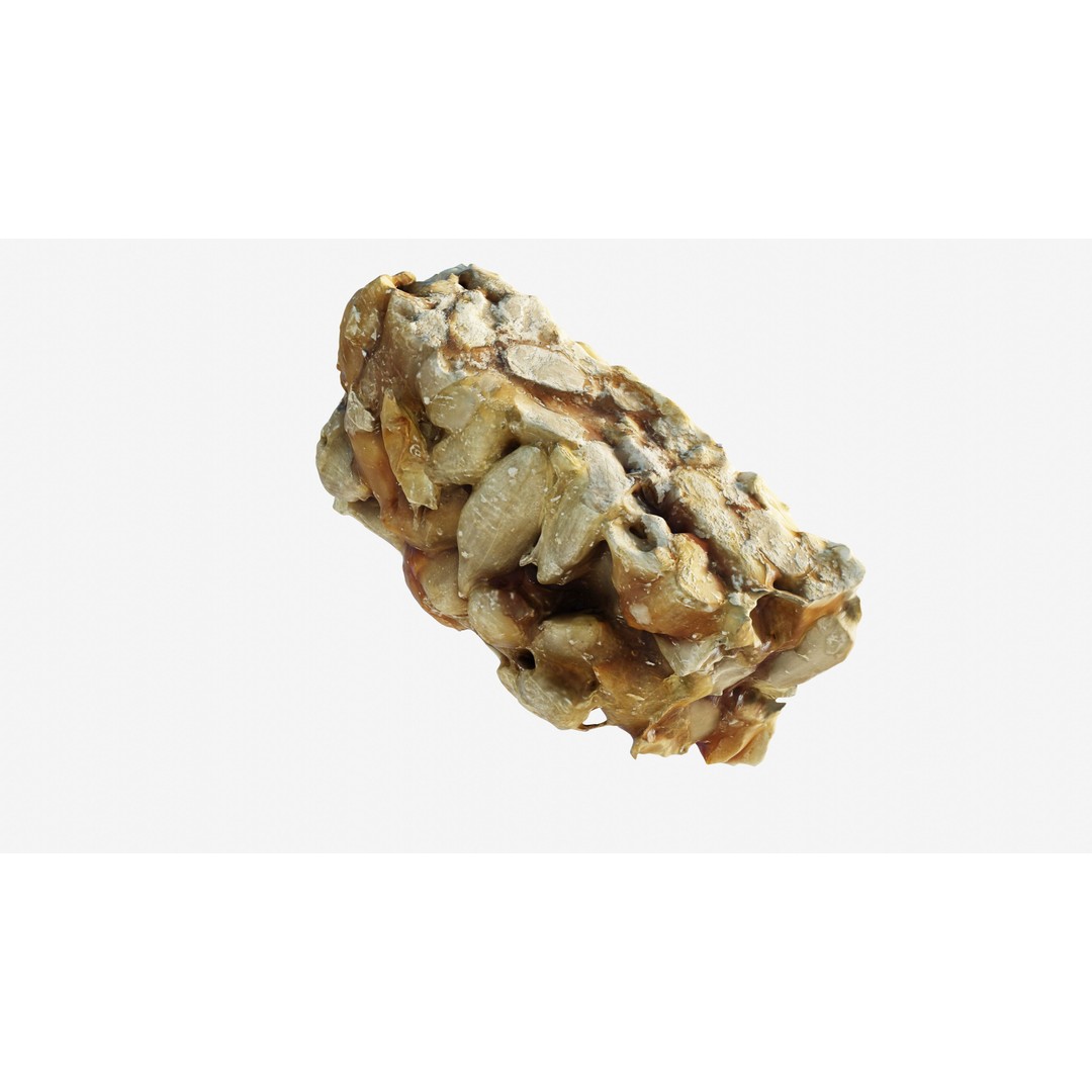 Kozinaki Candy 3D Model – Low Poly Photogrammetry Asset, FBX - View 13