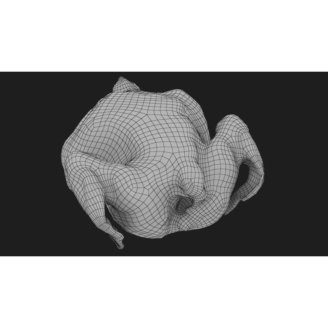 Roast Chicken 3D Model – Low Poly PBR Game Asset, FBX - View 22